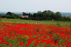 Domaine Saint Ferreol